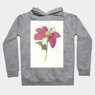 botanical pink Hoodie